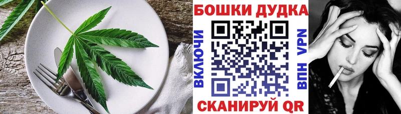 Canna-Cookies марихуана  Шумиха 